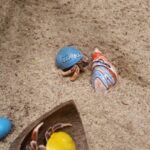 are you supposed to play with hermit crabs?